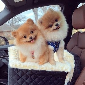 Meet your Posher, Sha